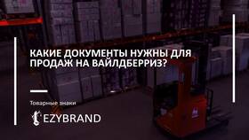 Что нужно, чтобы стать продавцом на Wildberries в Вальтера