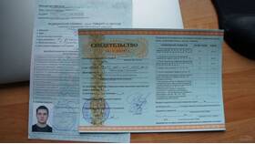 Что означают реквизиты свидетельства о рождении ученика в Вальтера