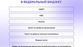 Что входит в прямые налоги в Вальтера
