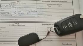 Что значит Авито Аукцион на машину в Вальтера