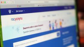 Как отменить взыскание через Госуслуги в Вальтера