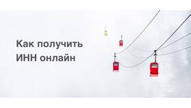 Как получить ИНН удаленно в Вальтера
