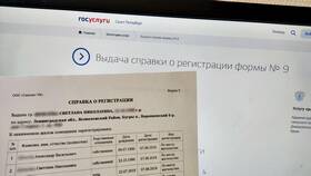 Как получить справку 1160077 через Госуслуги в Вальтера