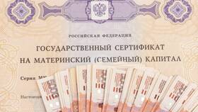 Как получить займ онлайн: пошаговая инструкция в Вальтера