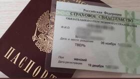 Как поменять СНИЛС через ПФР в Вальтера