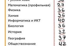 Как проверить результаты экзаменов через Госуслуги в Вальтера