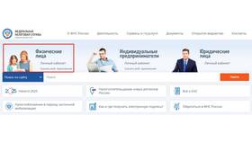 Как сдать налоговую декларацию 3-НДФЛ в Вальтера