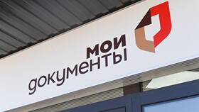 Как ускорить получение услуг в МФЦ в Вальтера