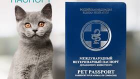 Как заполнять международный ветеринарный паспорт в Вальтера