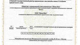 ООО МФК Мани Мен: что это за организация в Вальтера