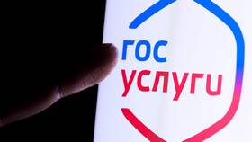 Почему Госуслуги зависают сегодня? в Вальтера