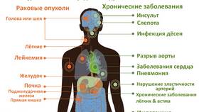 Практическое применение химии в повседневной жизни
