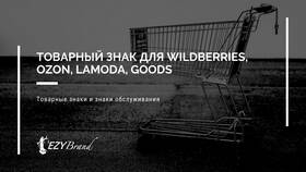 Способы оплаты товаров в Lamoda в Вальтера