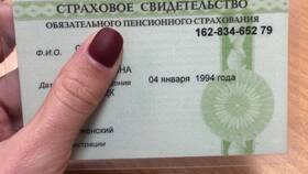 Зачем нужно страховое свидетельство обязательного пенсионного страхования (СНИЛС) в Вальтера