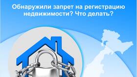 Запрет на регистрационные действия автомобиля: что это