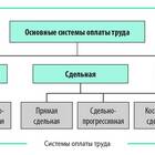 Организация заработной платы: основные принципы и методы